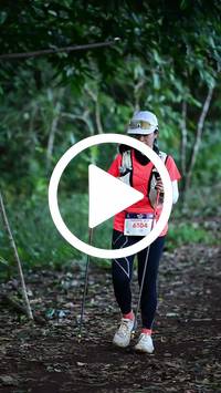 BIB:  <button type="button" onclick="openModal(27540460)" class="btn btn-primary btn-sm float-right" data-toggle="modal" data-target=".modal-high-quality">
                <i class="fa fa-download"></i> Download
                </button>